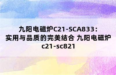 九阳电磁炉C21-SCA833：实用与品质的完美结合 九阳电磁炉c21-sc821